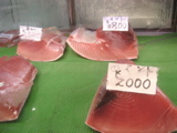 Tuna