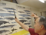 Fisher in Tsukiji